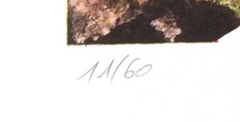 Marie-Dolma Chophel - Climax - Image 3